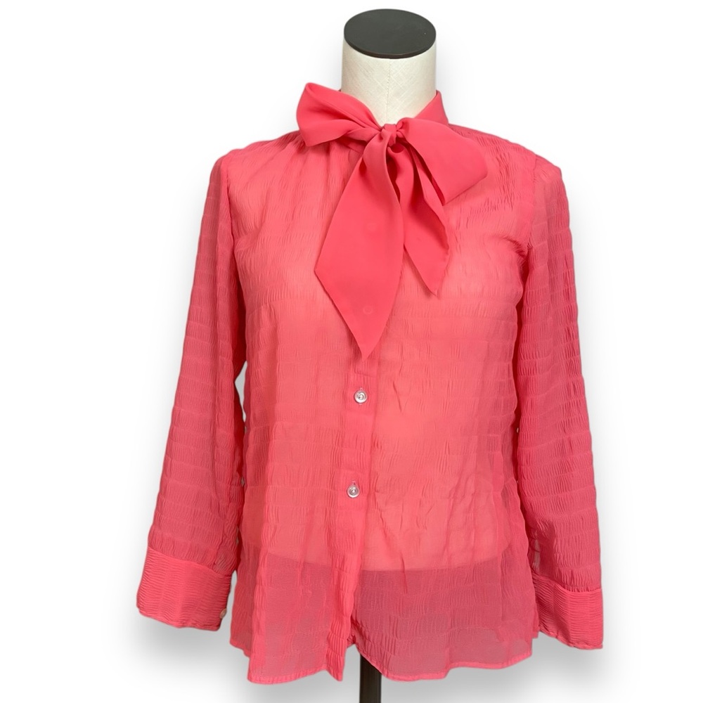Vintage Secretary Blouse Semi-Sheer Tie Neck Pink Long Sleeve Button-Up Textured